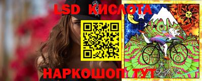молекула духа Славянск-на-Кубани
