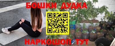 молекула духа Славянск-на-Кубани