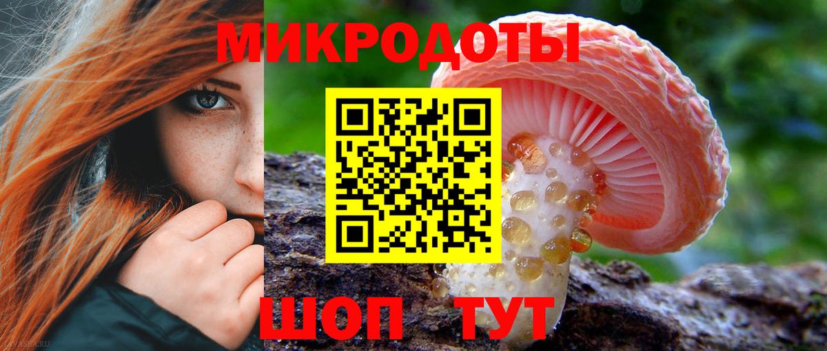 Муром  Псилоцибиновые грибы прущие грибы  Вход с VPN  Галлюциногенные грибы мухоморы 